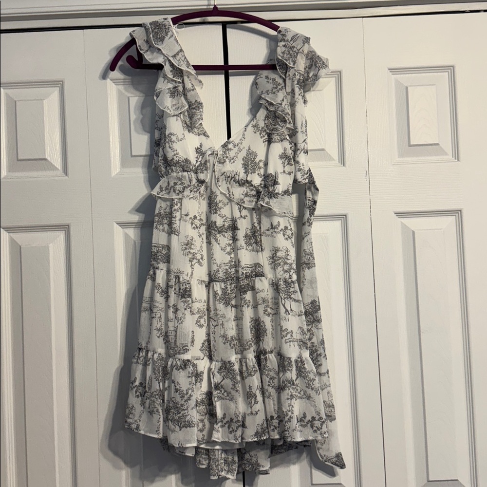 Francesca's Collections Black and White Ruffle Dress